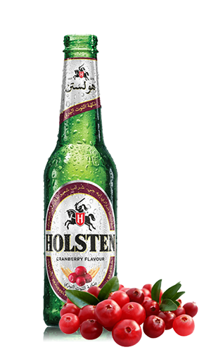 6x Cranberry Holsten